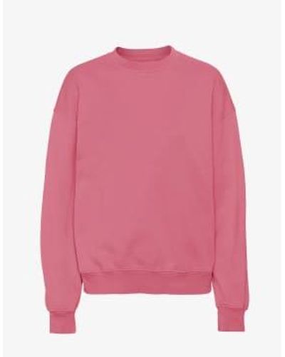 COLORFUL STANDARD Raspberry Organic Cotton Crew Neck Sweatshirt M - Pink