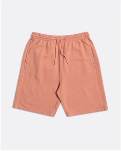 Far Afield Mahagoni track light shorts - Pink