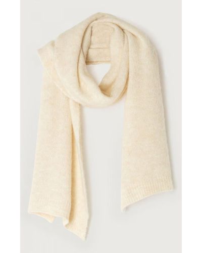 American Vintage Scarves and mufflers for Women | Online Sale up to 80% off  | Lyst