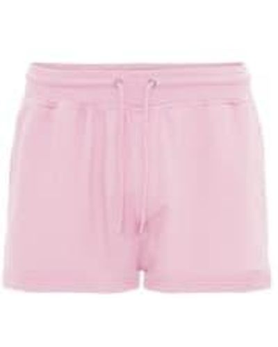 COLORFUL STANDARD Shorts portivos orgánicos clásicos flamingo - Rosa
