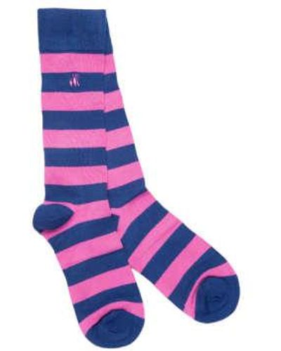 Swole Panda Rich Striped Socks - Blue