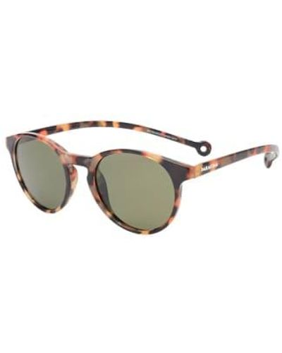 Parafina Eco Friendly Sunglasses Isla Tortoise 100% Recycled Pet - Brown