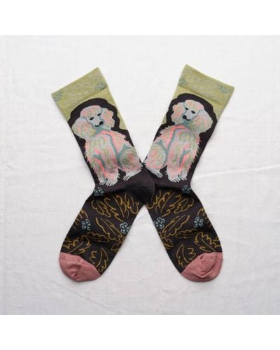 Bonne Maison Moss Dog Knitted Socks - Multicolour