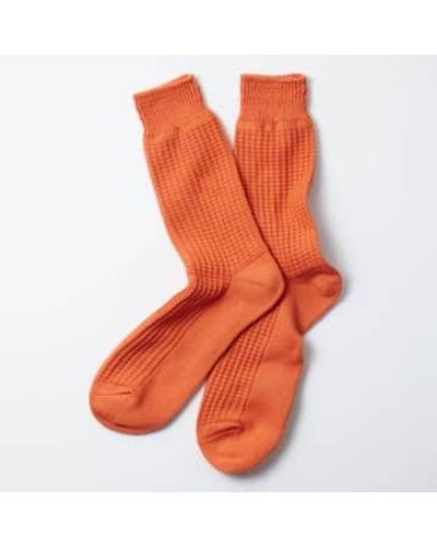 RoToTo Baumwoll-waffel-crew-socken in hell - Orange