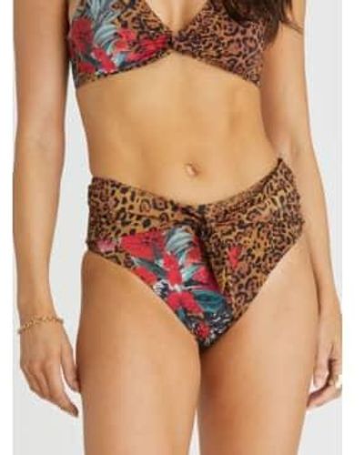 Aqua Blu Australia Margot High Waisted Bikini Bottom 10 - Multicolour