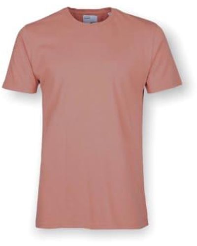 COLORFUL STANDARD Mist Tee Rosewood classique