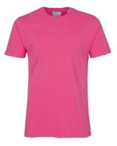 COLORFUL STANDARD T-shirt classique bubblegum - Rose