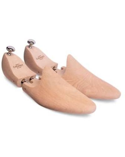 Cheaney Árboles zapatos - Rosa