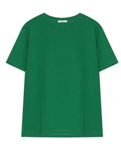 Cashmere Fashion Stefan Brandt Kaumwoll Shirt Fritzi Short Arm L / - Green
