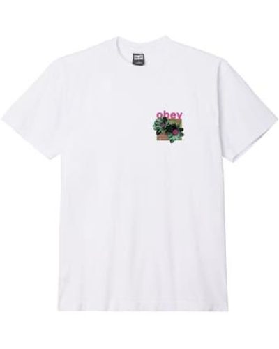 Obey Seeds Grow T Shirt - Bianco