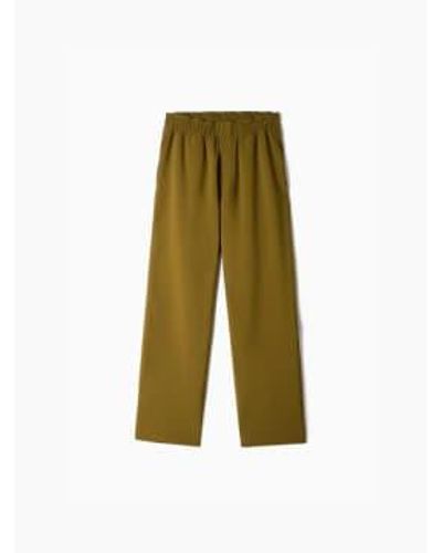 Sunnei Elastic Trousers Olive Xs - Green