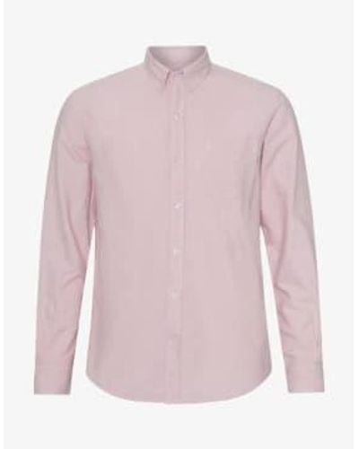 COLORFUL STANDARD Chemise organic button down shirt fad - Rosa