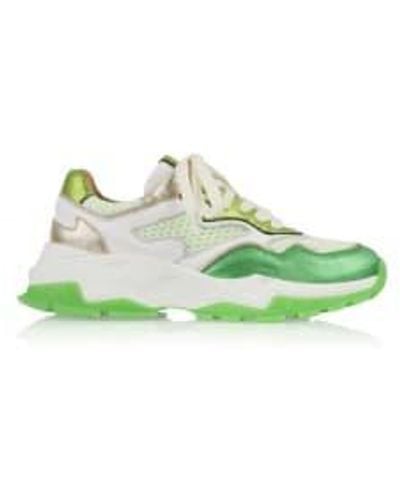 Dwrs Label Chester Sneakers White - Verde