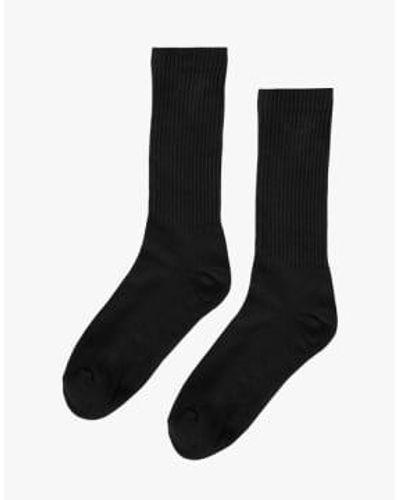 COLORFUL STANDARD Organic Active Sock - Nero