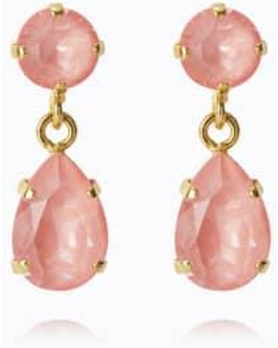 Caroline Svedbom Mini Drop Earrings In Flamingo Ignite - Rosa