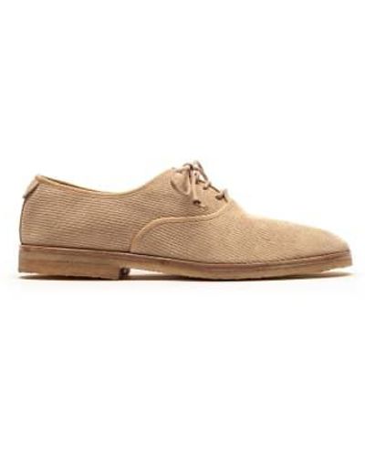 Tracey Neuls Dutronc Chino Or Leather Derby - Neutro