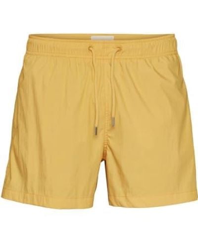 Knowledge Cotton Solid 50171 Bay Swimshorts S - Yellow
