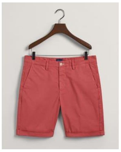 GANT Allister fit regular fit sunfad shorts in mineral - Rojo