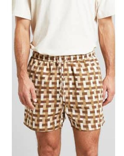 Dedicated Regnerischer tag essenwebe shorts - Braun