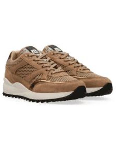 Maruti Beige And Pixel Off White Boyd Suede Trainers 36 - Brown