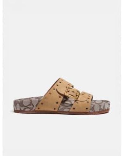 COACH Ally Suede Double Strap Sandals - Brown