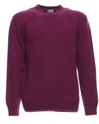 GALLIA Pullover Mann LM U7701 098 Gille - Lila