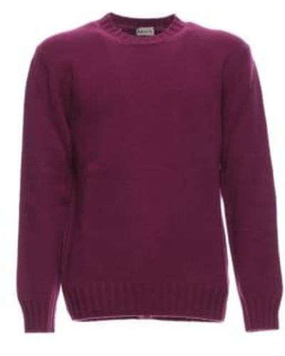 GALLIA Sweater Lm U7701 098 Gille 48 - Purple