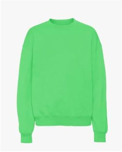 COLORFUL STANDARD Organic Oversized Crew Spring S - Green