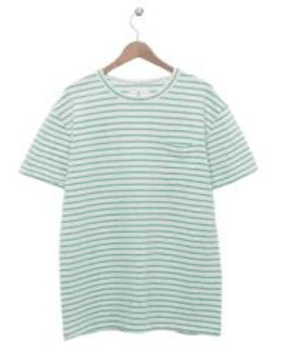 La Paz Pocket T Shirt In Off Gumdrop Green Stripes - Blu