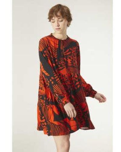 Compañía Fantástica Mini-robe à imprimé papillon - Rouge
