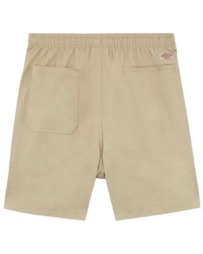 Dickies Shorts for Men | Online Sale up to 64% off | Lyst | Shorts