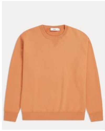Closed - Sweatshirt - Coton Bio - Cornelian - S - Orange