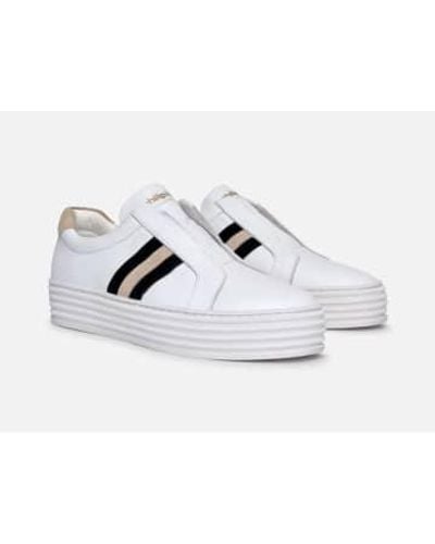 Philip Hog Leather May Sneaker - White