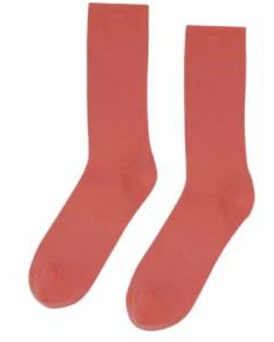 COLORFUL STANDARD Classic Organic Sock Bright Coral -one Size - Red