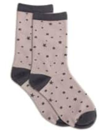 Tutti & Co Navy Starlight Socks Onesize / - Grey