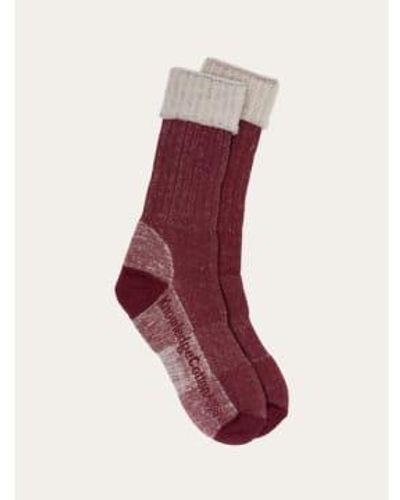 Knowledge Cotton Chaussettes Laine Low Terry - Rosso