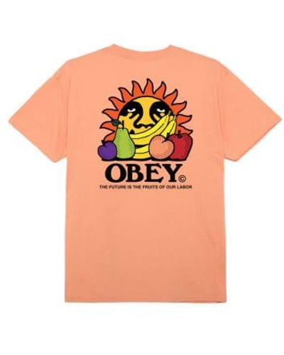 Obey El futuro es el fruto nuestra camiseta trabajo - Naranja