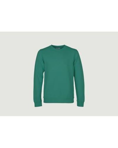 COLORFUL STANDARD Sweatshirt Classic Organic 1 - Verde