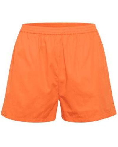 Saint Tropez Uflora shorts - Orange