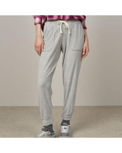 Hartford Tivia heather gray velvet track pants - Gris