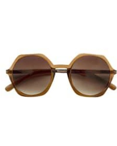 Have A Look Sunglasses - Brown