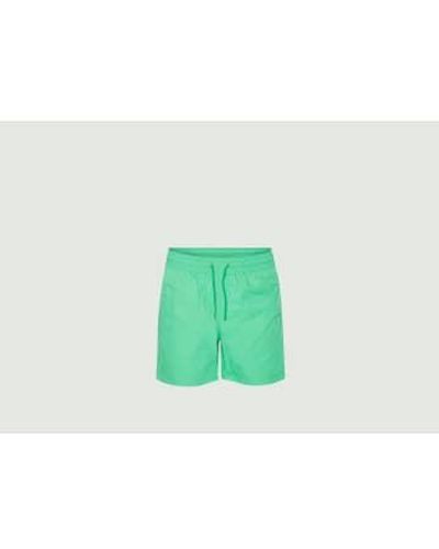 COLORFUL STANDARD Pantalones cortos natación clásicos - Verde
