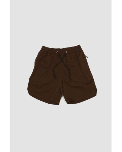sunflower Mike Shorts Brown