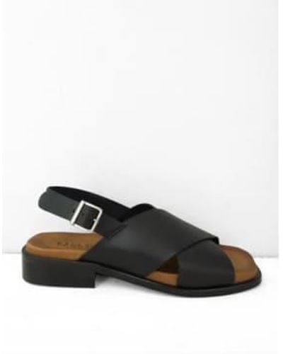 Pavement Carly cross sandales en noir / bronzage