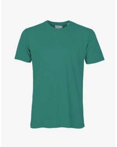 COLORFUL STANDARD Pine Organic Cotton T Shirt M - Green