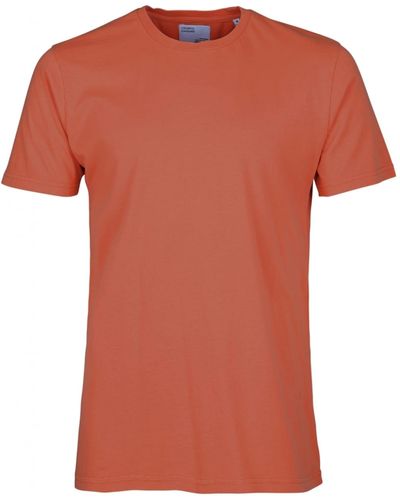 Colorful Standard Oversized Organic T-Shirt Raspberry Pink L Men - T-shirts Colorful Standard - Green - CS2056-RP-L - Size: L