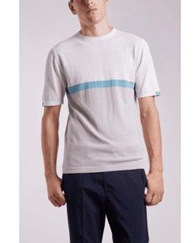 Daniele Fiesoli And Blue Stripes T Shirt - Grigio