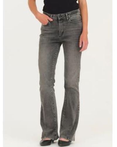 IVY Copenhagen Tara jeans rockstar gris