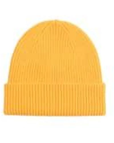 COLORFUL STANDARD Beanie Burned - Yellow