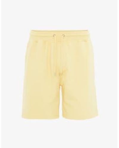 COLORFUL STANDARD Pantalón corto clásico orgánico amarillo suave
